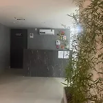 Nice Flat Near The Beach